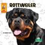 Corinne Fickett: Rottweiler, Buch