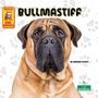 Corinne Fickett: Bullmastiff, Buch