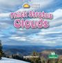 Kim Thompson: Thick Stratus Clouds, Buch