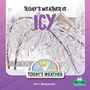 "Today’s weather is icy." Im Hintergrund sind vereiste Bäume und ein Hausdach. Ein Logo zeigt Wetter-Symbole.