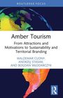 Waldemar Cudny: Amber Tourism, Buch