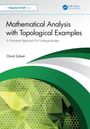 Omid Zabeti: Mathematical Analysis with Topological Examples, Buch