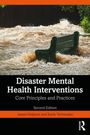 James Halpern: Disaster Mental Health Interventions, Buch