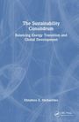 Efstathios E. Michaelides: The Sustainability Conundrum, Buch