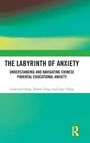 Linyuan Deng: The Labyrinth of Anxiety, Buch