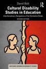 Titel: Cultural Disability Studies in Education. Untertitel: Interdisciplinary Navigations of the Normative Divide. Illustration: Zwei stilisierte Personen, getrennt durch eine gezackte Linie, auf grauem und rotem Hintergrund.