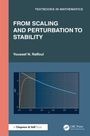 "FROM SCALING AND PERTURBATION TO STABILITY" von Youssef N. Raffoul. Diagramm mit zwei Kurven auf dunkelblauem Hintergrund.