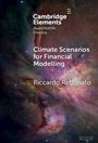 Text: "Cambridge Elements, Quantitative Finance, Climate Scenarios for Financial Modelling, Riccardo Rebonato." Hintergrund: Weltraum mit bunten Nebeln.