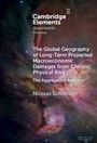 Titel: "The Global Geography of Long-Term Projected Macroeconomic Damages from Chronic Physical Risk". Autor: Nicolas Schneider. Hintergrund: bunte Weltraumnebel.