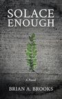 „Solace Enough“, „A Novel“, „Brian A. Brooks“; Grüner Farn auf grauem Betonhintergrund.