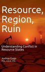 Icd D Gogo: Resource, Region and Ruin, Buch