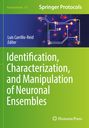 Text: Neuromethods 215, Springer Protocols, Luis Carrillo-Reid Editor. Grüne Gestaltung mit neuronaler Illustration.