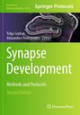 Synapse Development, Buch