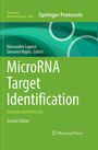 "MicroRNA Target Identification: Methods and Protocols, Second Edition" mit grünen und türkisen grafischen Elementen.