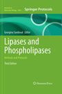 „Lipases and Phospholipases“, grünes Buchcover, „Methods and Protocols“, „Third Edition“, Kreisdesigns, Springer Logo.