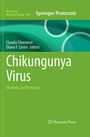 Text: "Chikungunya Virus: Methods and Protocols." "Claudia Filomatori, Eliana Castro, Editors." Grün-blaues Design mit Kreisen.