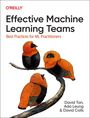 David Tan: Effective Machine Learning Teams, Buch