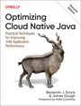 Benjamin Evans: Optimizing Cloud Native Java, Buch