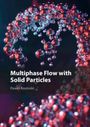 Pawel Kosinski: Multiphase Flow with Solid Particles, Buch
