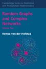 Remco Van Der Hofstad: Random Graphs and Complex Networks, Buch