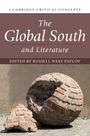 : The Global South and Literature, Buch
