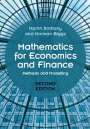 Martin Anthony: Mathematics for Economics and Finance, Buch