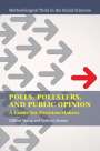 Clifford Young: Polls, Pollsters, and Public Opinion, Buch