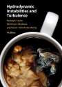 Ye Zhou: Hydrodynamic Instabilities and Turbulence, Buch