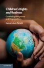 Gamze Erdem Türkelli: Children's Rights and Business, Buch