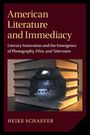 Heike Schaefer: American Literature and Immediacy, Buch