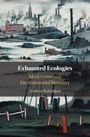 "Exhausted Ecologies: Modernism and Environmental Recovery" von Andrew Kalaidjian. Industrielandschaftsillustration.