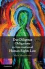 Titel: "Due Diligence Obligations in International Human Rights Law" von Maria Monnheimer. Buntes, abstraktes Cover.