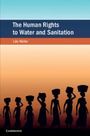 Leo Heller: The Human Rights to Water and Sanitation, Buch