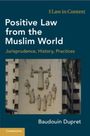 Baudouin Dupret: Positive Law from the Muslim World, Buch