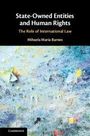 Mihaela Maria Barnes: State-Owned Entities and Human Rights, Buch