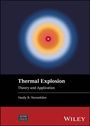 Vasily B. Novozhilov: Thermal Explosion, Buch