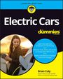 Brian Culp: Electric Cars For Dummies, Buch