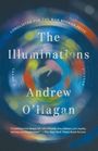 Andrew O'Hagan: Illuminations, Buch