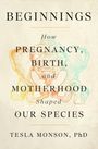 "BEGINNINGS. How Pregnancy, Birth, and Motherhood Shaped Our Species. TESLA MONSON. FLATIRON BOOKS COVER FORTHCOMING." Ein schlichtes, blau-weißes Design mit einem kleinen Logo.