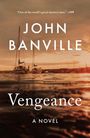 John Banville: Vengeance, Buch