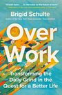 Brigid Schulte: Over Work, Buch