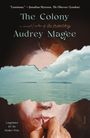 „Luminous.“ —Jonathan Myerson. The Colony. Audrey Magee. Illustration eines Gesichtes und eine Landschaft mit Meer.