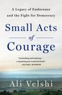 Titel: "Small Acts of Courage". Untertitel: "A Legacy of Endurance and the Fight for Democracy". Autor: Ali Velshi. Landschaftsfoto.