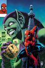 J M Dematteis: Spider-Man: Shadow of the Green Goblin, Buch