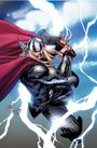 J Michael Straczynski: Thor Modern Era Epic Collection: The Siege of Asgard, Buch