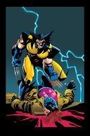 Jeph Loeb: Wolverine/Gambit: Victims Gallery Edition, Buch