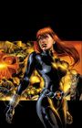 Devin Grayson: Black Widow Modern Era Epic Collection: The Itsy-Bitsy Spider, Buch