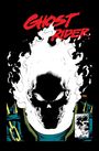 Howard Mackie: Ghost Rider: Danny Ketch Epic Collection: Bad to the Bone, Buch