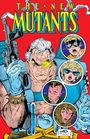 Fabian Nicieza: New Mutants Omnibus Vol. 4 Rob Liefeld Cable Cover, Buch