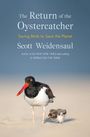Scott Weidensaul: The Return of the Oystercatcher, Buch